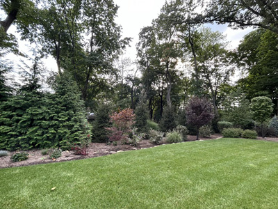 Shrub Plantings, Wyckoff, NJ Shrub Plantings, Wyckoff, NJ
