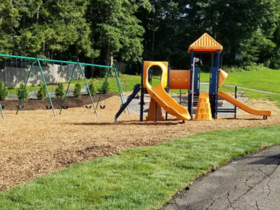 Landscape Construction