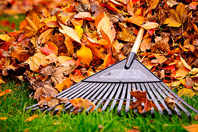 Fall Clean Up, Midland Park, NJ