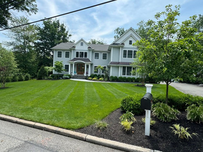 Landscape Maintenance