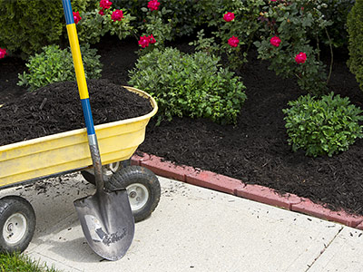 Lawn Maintenance Midland Park, NJ