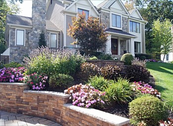 Shrub Plantings