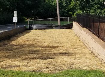 Commercial Landscaping - View 5, Wyckoff, NJ