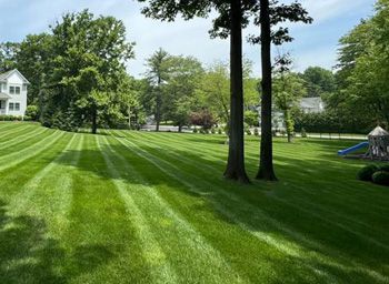 Landscaping, Saddle River, NJ