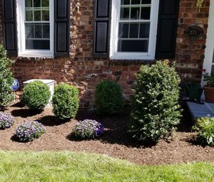 Planting, Ridgewood, NJ