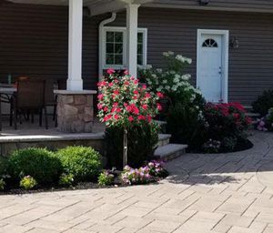 Planting, Allendale, NJ