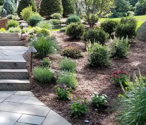 Planting, Mahwah, NJ