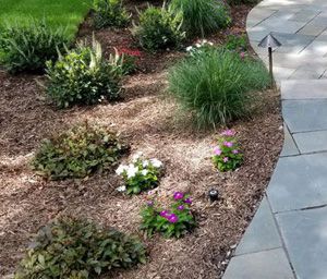 Planting, Ramsey, NJ