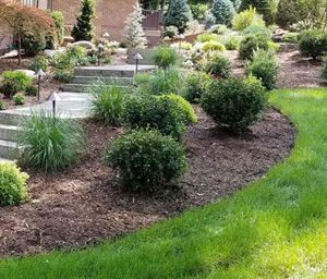 Planting, Oakland, NJ