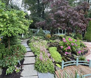 Planting, Haledon, NJ