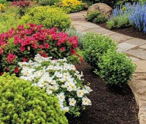 Planting, Woodcliff Lake, NJ