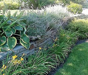 Planting, Montvale, NJ