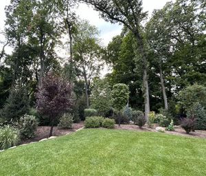Planting Services, Ridgewood, NJ