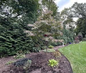 Planting Services, Allendale, NJ