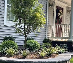 Planting Services, Ramsey, NJ