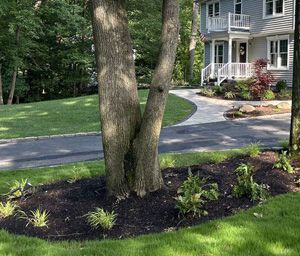 Planting Services, Oakland, NJ