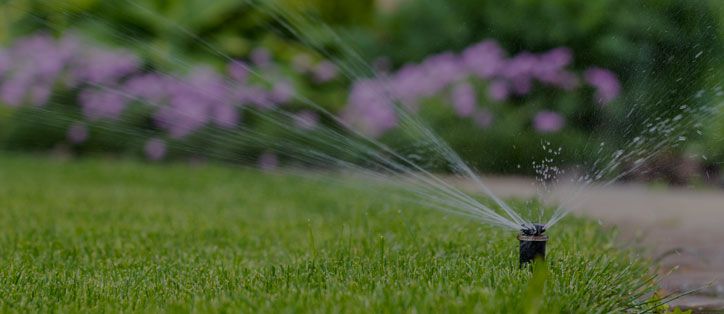 Top Soil & Seeding, Franklin Lakes, NJ