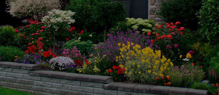 Plantings, Allendale, NJ