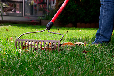 Spring Clean Up, Midland Park, NJ